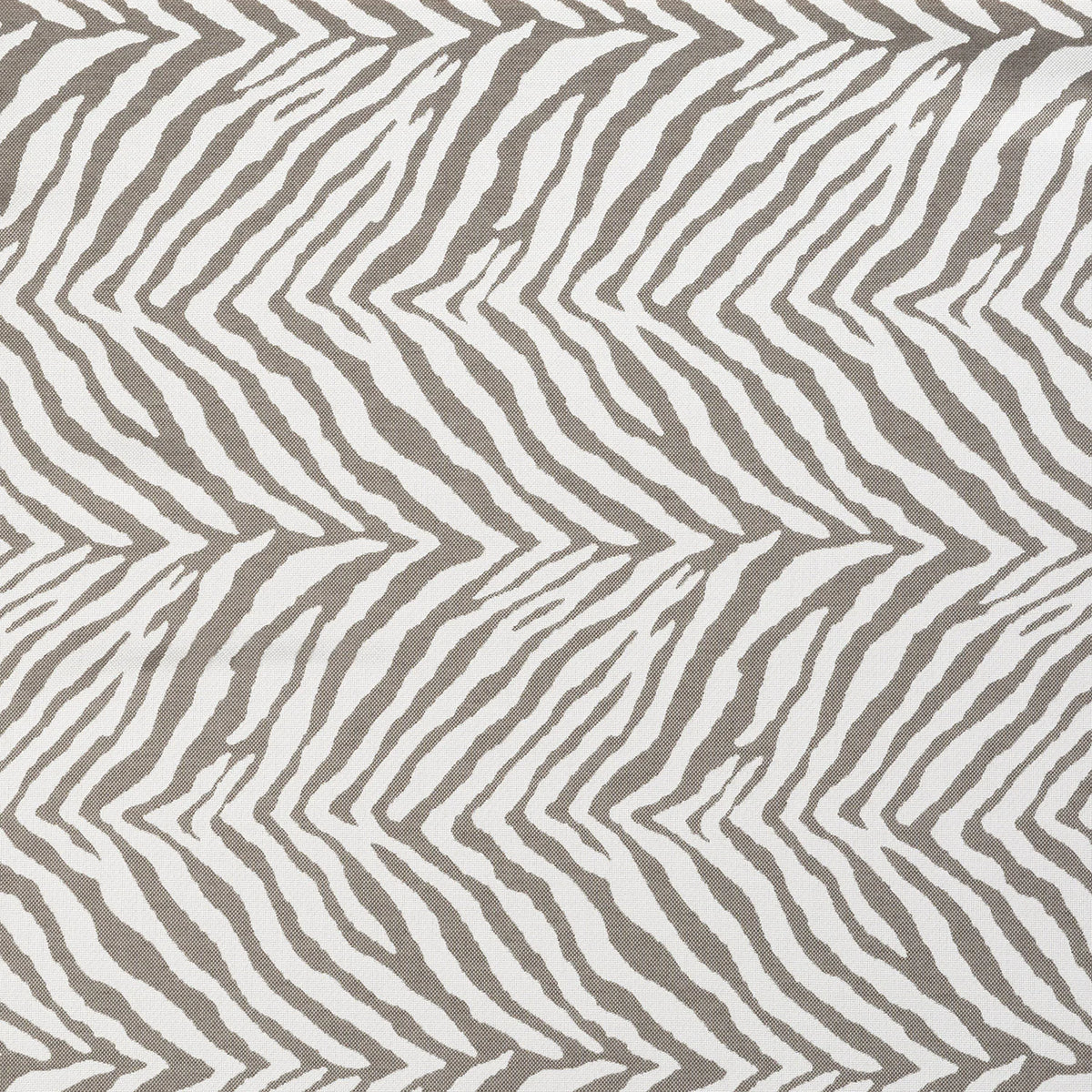 54" Sunbrella® Namibia Grey (145799-0002) Upholstery Fabric swatch
