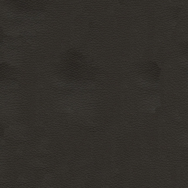 54" Texan Chinchilla (6009) Faux Leather Fabric Image 1