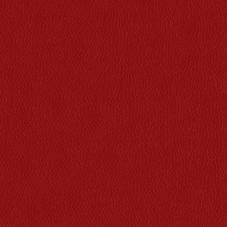 54" Texan Garnet (017) Faux Leather Fabric Image 1