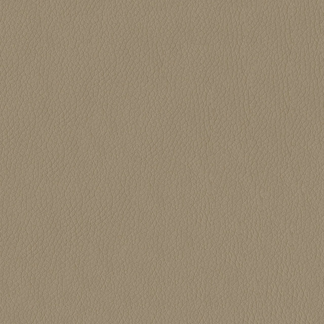 54" Texan Taupe (3948) Faux Leather Fabric Image 1