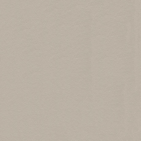 54" White Water Oyster (6009) Vinyl Fabric Image 1