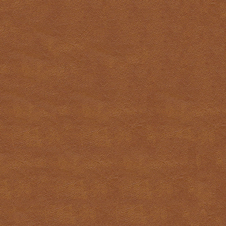 54" White Water Rust (084) Vinyl Fabric Image 1