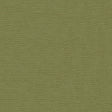55" Helix Apple (205) Upholstery Fabric Image 1