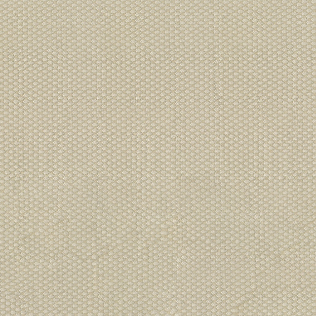 56" Focus Ecru (61) Upholstery Fabric Image 1