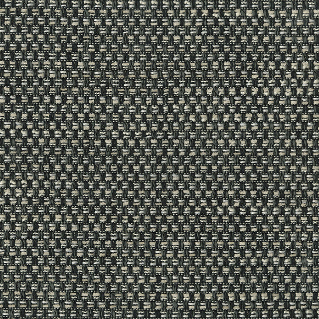 56" Liven Domino's (908) Upholstery Fabric swatch