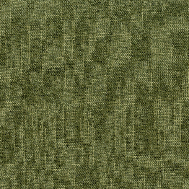 56" Panchi Alpine (205) Upholstery Fabric Image 1