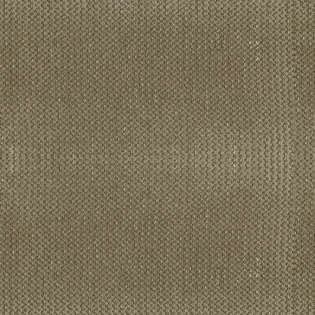 57" Amore Putty (84) Upholstery Fabric Image 1