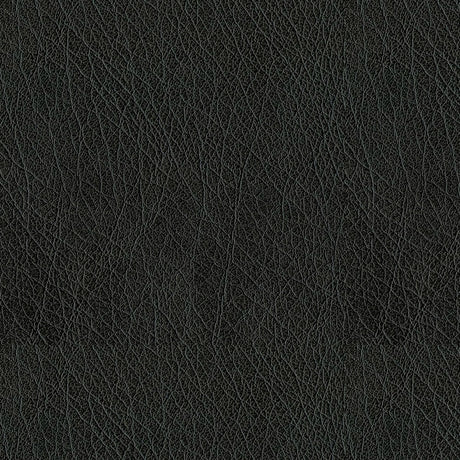 57" Force Black (9009) Faux Leather Fabric Image 1
