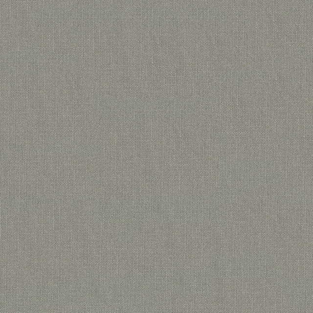 57" Pappy Platinum (94) Upholstery Fabric Image 1