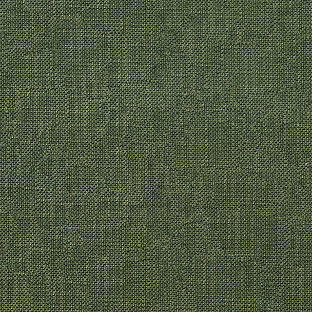 57" Raphael Alpine (202) Upholstery Fabric Image 1