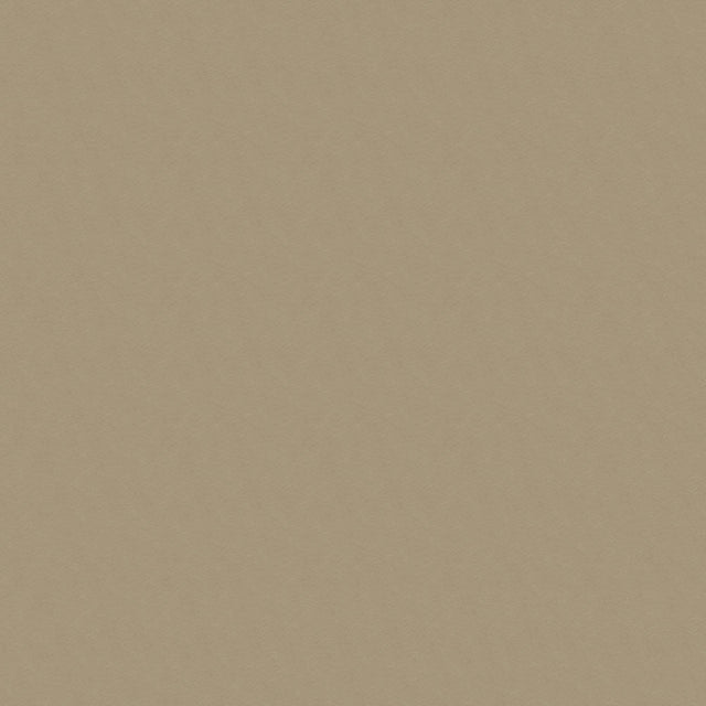 57" Underhill Taupe (6009) Upholstery Fabric Image 1