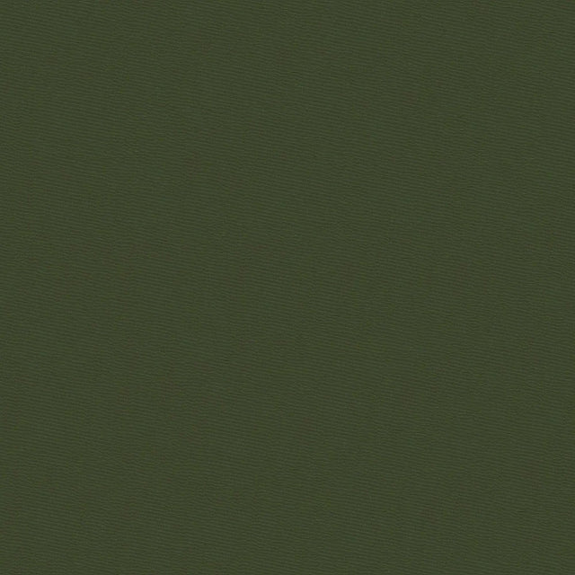 58" Oxford Olive Drab (027) 420D Nylon Fabric Image 1