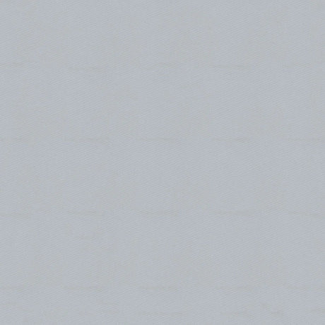 58" Oxford Platinum (905) 420D Nylon Fabric Image 1