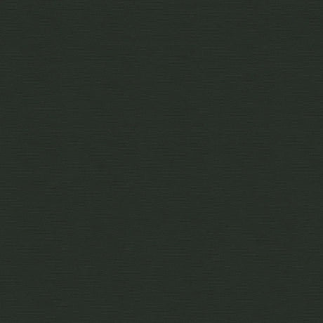 58" Sportlight Black (077) 420D Nylon Fabric Image 1