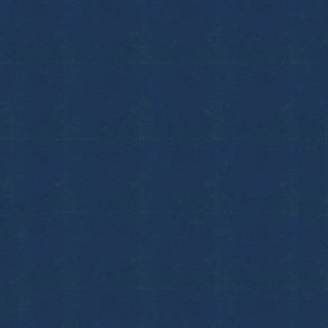 58" Sportlight Blue (305) 420D Nylon Fabric Image 1