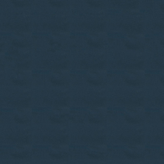 58" Sportlight Midnight (309) 420D Nylon Fabric Image 1