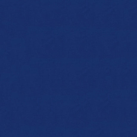 58" Sportlight Royal Blue (033) 420D Nylon Fabric Image 1
