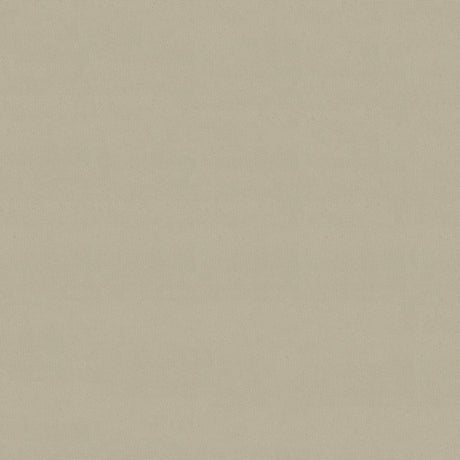 60" Softouch® Birch (999/6666) Non-Abrasive Cover Fabric Image 1