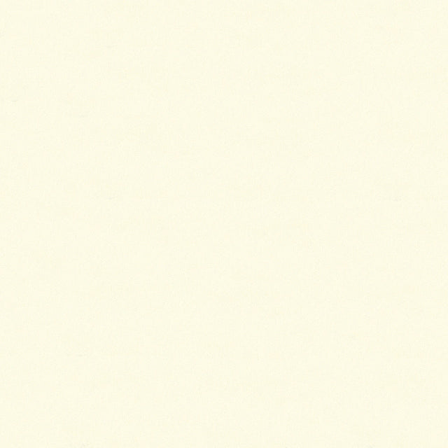 62" Top Gun® FR Ivory (707) Awning Fabric Image 1