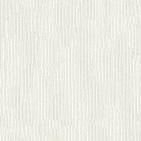 62" Top Gun® FR Lite Ivory (707-LT) Awning Fabric Image 1