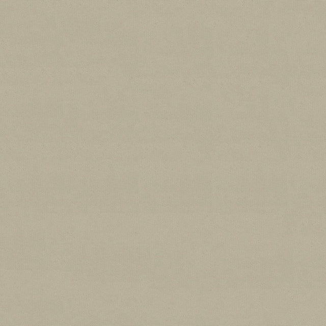 64" Odyssey® Birch (499) Marine Fabric Image 1