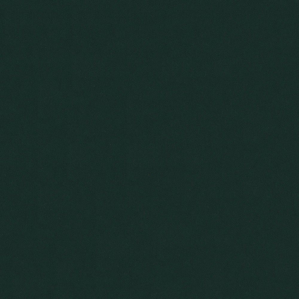 64" Odyssey® Forest Green (488) Marine Fabric Image 1
