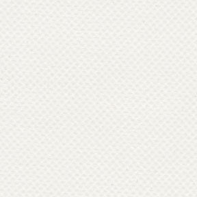 81" Atwood White (006) 18 oz Tarpaulin Fabric Image 1