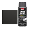 SEM® Color Coat™ Graphite Vinyl Paint (15303) [12 oz] Image 1